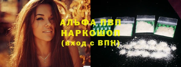 стаф Нея