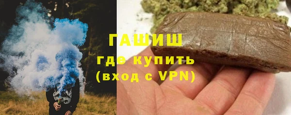 прущие грибы Бородино