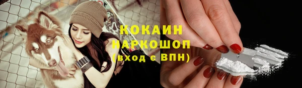 стаф Нея