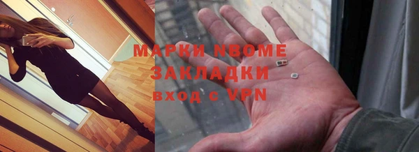стаф Нея