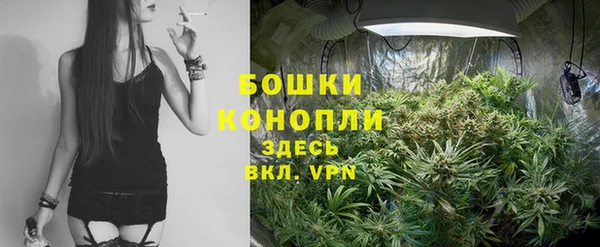 СК Нефтегорск