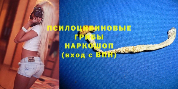 стаф Нея
