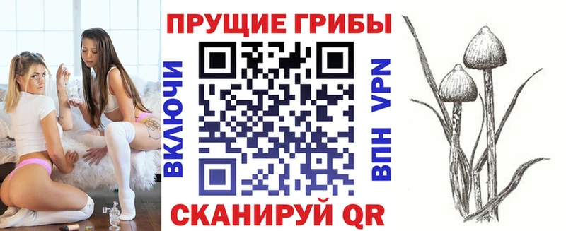 гидра маркетплейс  Калачинск  Псилоцибиновые грибы GOLDEN TEACHER 